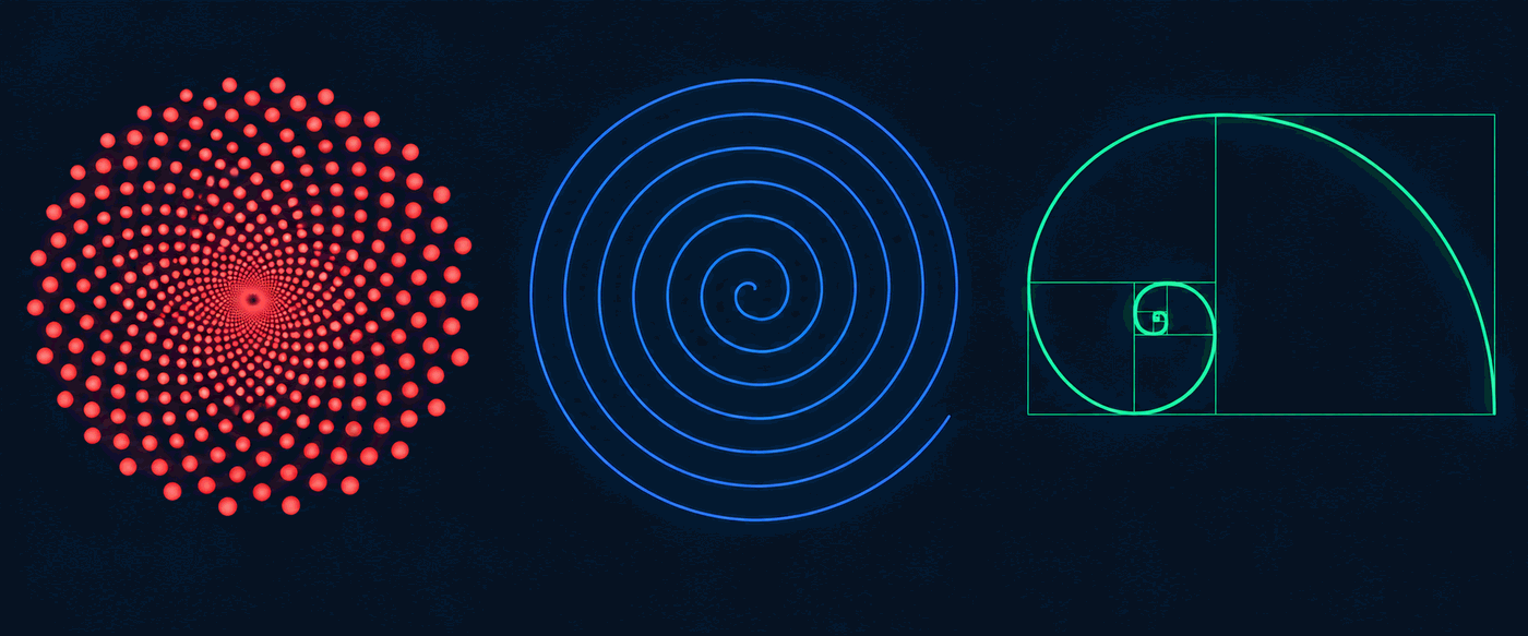 Comparison of Fermat, Archimedean, and logarithmic spiral types